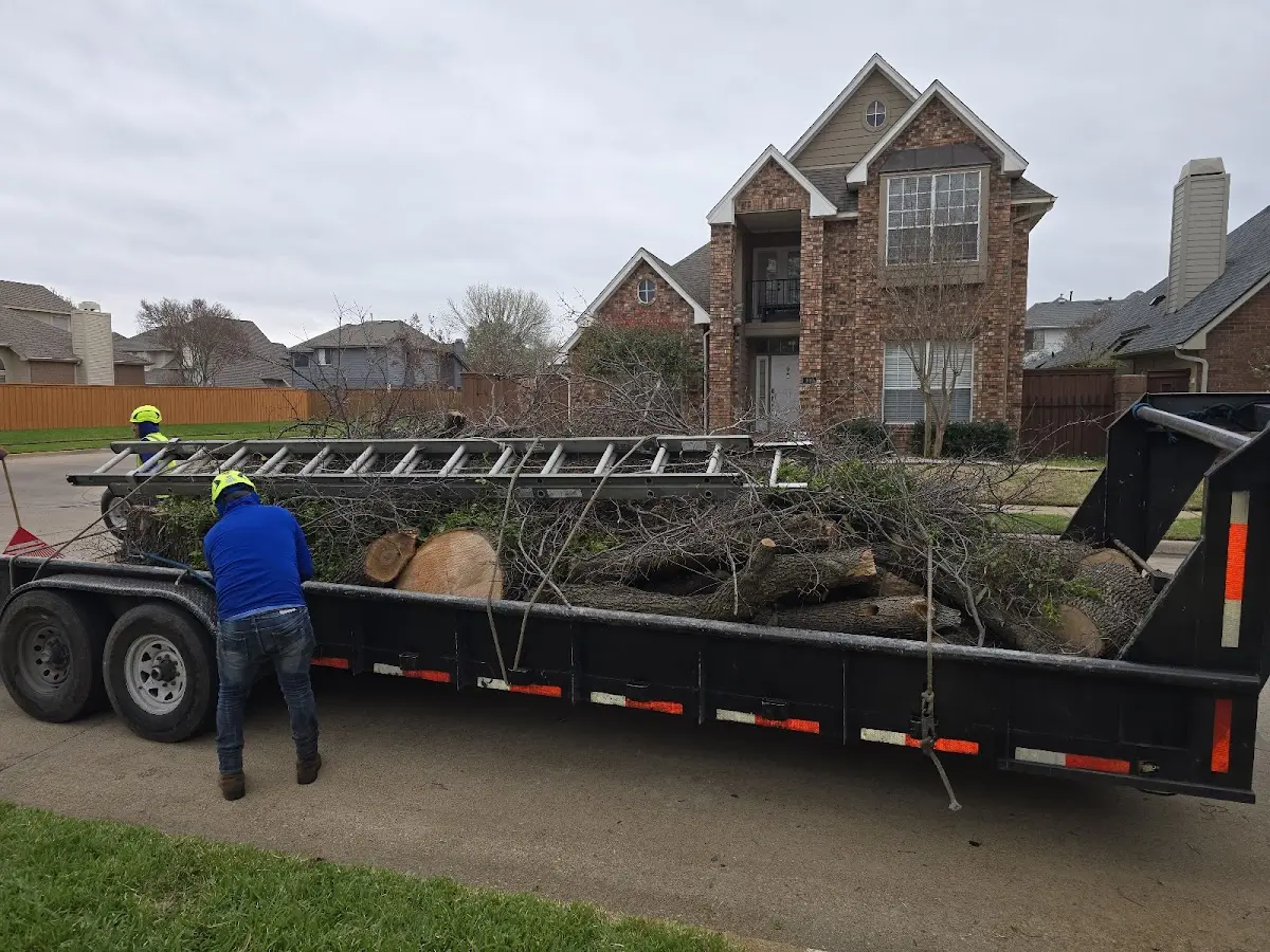 Expert Tree Pest Control with proper safety equipment in Groveport